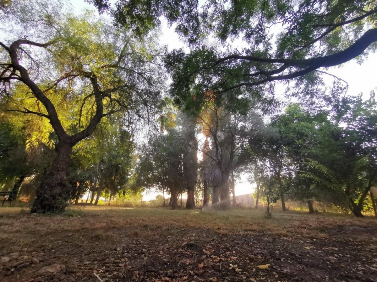 Finca El Naranjo Sevilla Eksteriør bilde